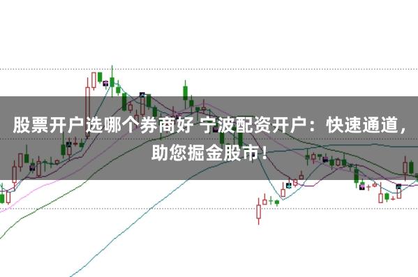 股票开户选哪个券商好 宁波配资开户：快速通道，助您掘金股市！