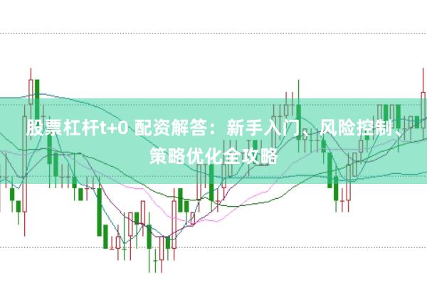 股票杠杆t+0 配资解答：新手入门、风险控制、策略优化全攻略