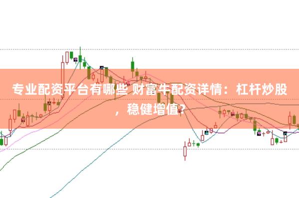 专业配资平台有哪些 财富牛配资详情：杠杆炒股，稳健增值？