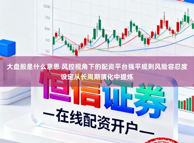 大盘股是什么意思 风控视角下的配资平台强平规则风险容忍度设定从长周期演化中提炼