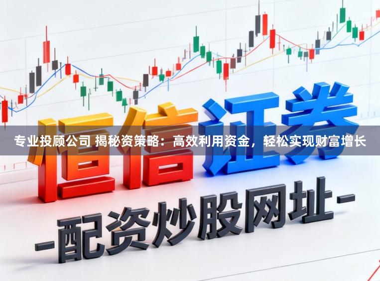 专业投顾公司 揭秘资策略：高效利用资金，轻松实现财富增长
