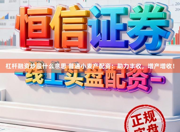 杠杆融资炒股什么意思 普通小麦产配资：助力丰收，增产增收！